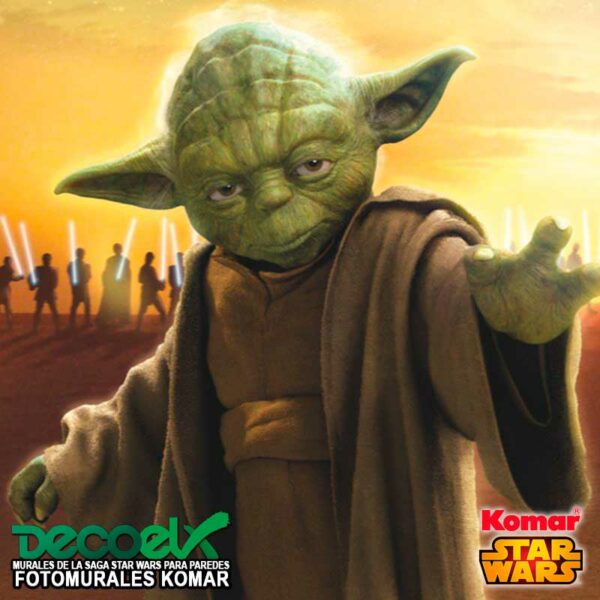 4-442 Zoom Maestro Yoda Star Wars