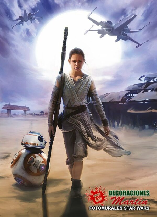 4-448 Star Wars Rey - Imagen 2