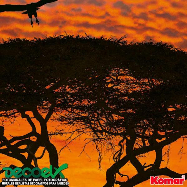 4-501 Fotomural African Sunset / Atardecer Africano - Imagen 10