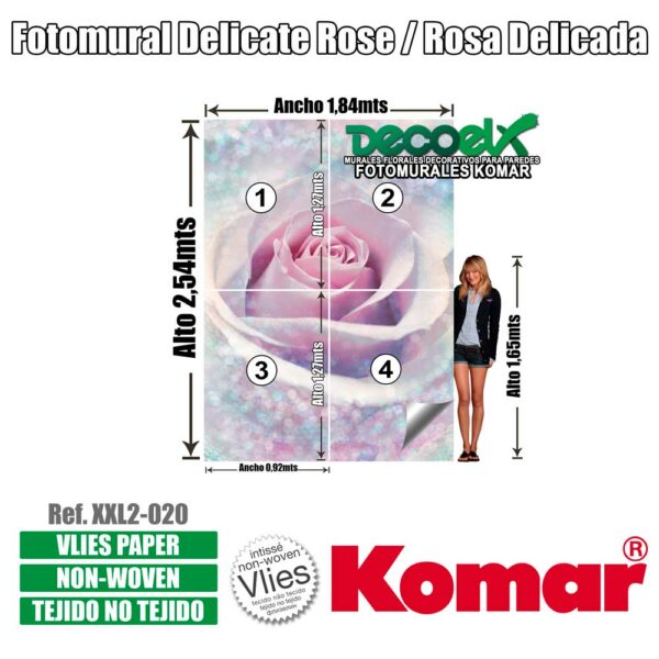 XXL2-020 Detalles Rosa Delicada