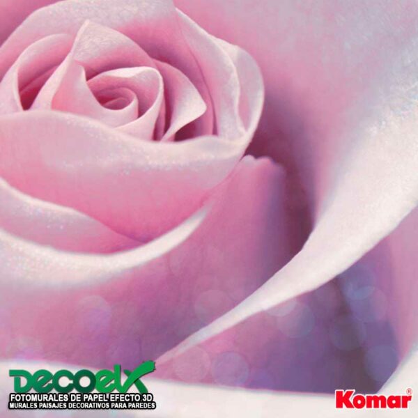 XXL2-020 Zoom Rosa Delicada