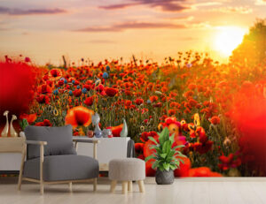 Atardecer
