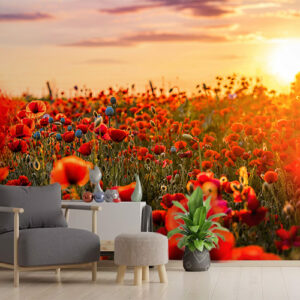 Atardecer