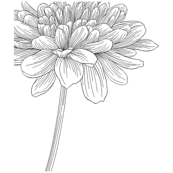 Flor - Imagen 2